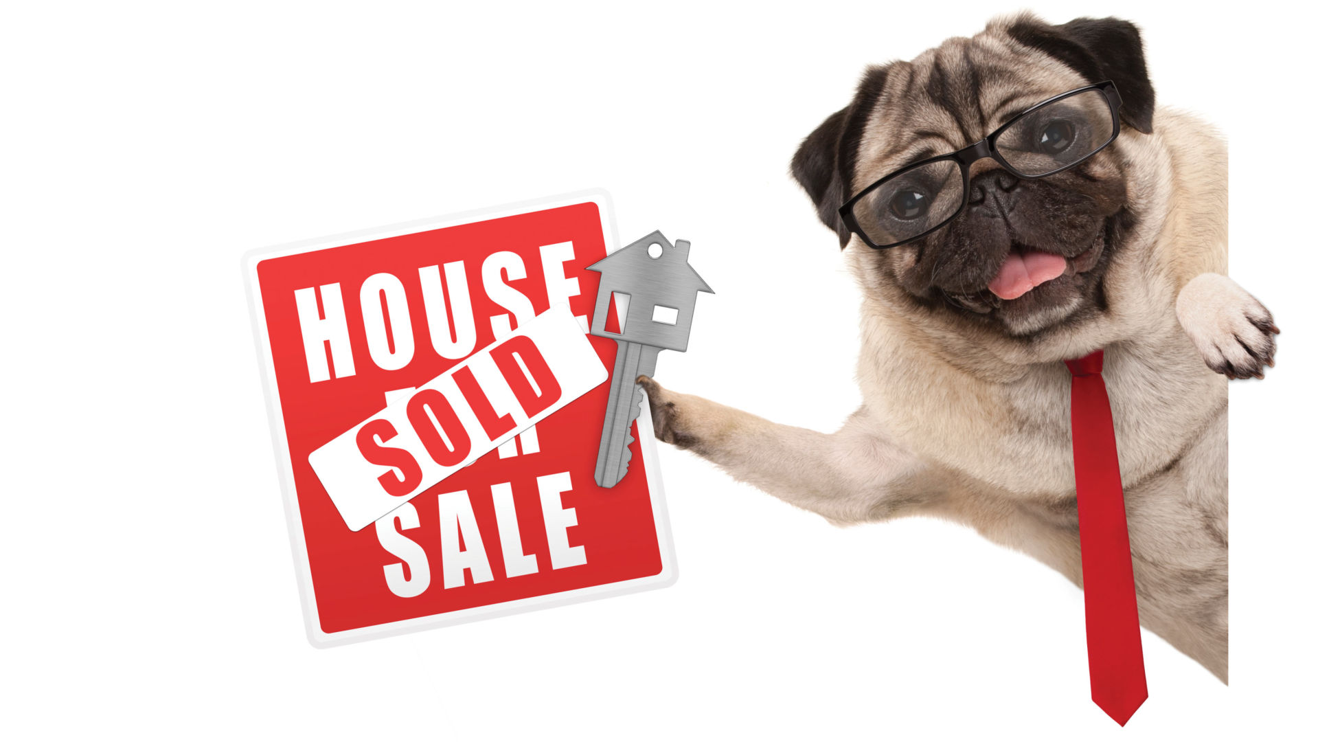 Realtor Dogy - 948725114